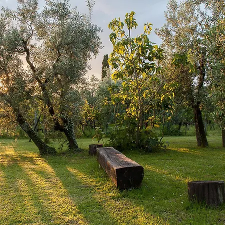 Villa Il Paradisino Sesto Fiorentino
