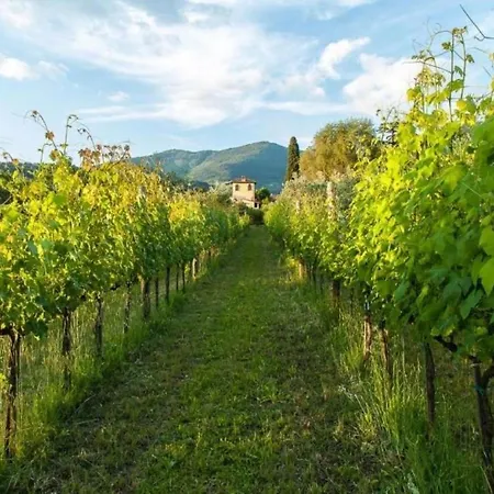 Il Paradisino Villa *