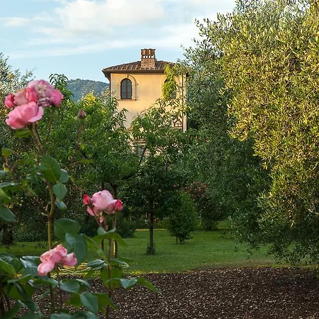 Il Paradisino Sesto Fiorentino